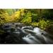 USA- Oregon- Silver Fall State Park fall colors along South Fork Silver Falls Creek Poster Print - Darrell Gulin (36 x 24)