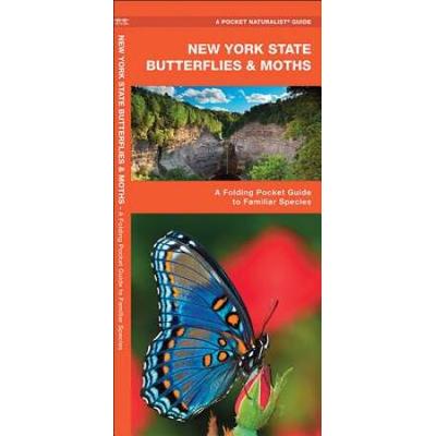 New York State Butterflies Moths A Folding Pocket Guide to Familiar Species