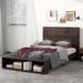 Versatile Queen Platform Bed, with Headboard & Two Open Shelves, Modern Brown Wooden Bed Frame, No Box Spring Needed