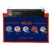 Buffalo Football Bills Established 1960 - Classic Logos through the years Wool Heritage Dynasty Banner 22 x 14