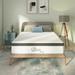 Full Medium 10" Hybrid Mattress - Nap Queen Maxima | 53 H x W 10 D in Wayfair NQIH10FF