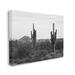 Stupell Industries Desert Cactus Arid Vegetation Mono Nature by Graffitee Studios - Wrapped Canvas Photograph Canvas in Black/White | Wayfair