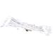 The Holiday Aisle® Gherarda 50 Clear Dura-lit Mini String Lights in White | 2 H x 450 W x 2 D in | Wayfair 22FD5D0D665E4A09860C8A89015A745D