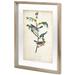 Wildon Home® Delicate Bird & Botanical IV Framed On Paper Print | 23.88 H x 31.88 W x 2.5 D in | Wayfair 5AD4A96BB5CD4897B01D3E53EB5C8031