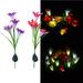 hoksml Home Decor 4 heads solar lantern LED decorative outdoor lawn lamp 4 flower lily garden lamp on Clearance Gifts