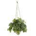 Nearly Natural 24 Watermelon Peperomia Artificial Plant in Hanging Vase (Real Touch)