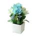 Melotizhi Artificial flowers Admiralty small potted plants creative ornaments artificial