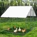 Tucker Murphy Pet™ Denne Walk In Chicken Run Metal | 78 H x 78 W x 117 D in | Wayfair BFFB50803E8444658078C28A54AC7EA2