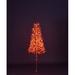 The Holiday Aisle® Starburst LED Lighted Trees & Branches in Orange | 60 H x 30 W x 30 D in | Wayfair 1EDE44A54A554F5EA917098C5AED26A4