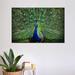 Dakota Fields Peacock Feathers On Canvas Print Canvas | 20 H x 30 W x 1.25 D in | Wayfair B0C126C38B1E4E989E5ECE29982126AC