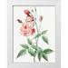 Redoute Pierre Joseph 12x14 White Modern Wood Framed Museum Art Print Titled - Old Blush China Common Rose of India Rosa Indica Vulgaris