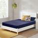 Twin Medium 6" Mattress - Alwyn Home Wynings | 74 H x 38 W 6 D in Wayfair 84758AB846E74863AA24B6C8FA08B63A