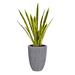 Vintage Home 46.1" Artificial Snake Plant in Planter Plastic | 46.1 H x 20 W x 20 D in | Wayfair VHX121244