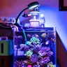 Luce a LED per acquario marino per serbatoio di barriera corallina marino da 30 ~ 50CM per Coral LPS