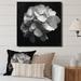 Latitude Run® Gray White Hydrangea Bloom I On Canvas Print Canvas, Cotton | 16 H x 16 W x 1 D in | Wayfair FEE164DDFB05411F8A139849928ACAAB