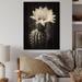 Latitude Run® Black White Cactus Minimal Collage On Wood Print Wood in Brown | 20 H x 10 W x 0.78 D in | Wayfair 98B51EF198214D929E5B8C030A643174