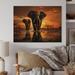 Dakota Fields Elephant Shadows Of Serenity IV On Wood Print Metal in Brown | 24 H x 32 W x 0.78 D in | Wayfair E7CF51B5120540B791C6F7EAC7091C38