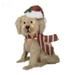 XMNZMH LED Christmas Dog Yard Decor - 2024 Outdoor Christmas Decorations Yard Signs Acrylic Dog Garden Stake with Lights Garden Statues for Backyard Lawn Pathway Christmas Decor(Christmas Dog 08)