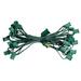 25' Commercial C7 Christmas Light Socket Set - 12" Spacing 18 Gauge Green Wire