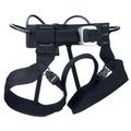 Alpine BOD Climbing Harness, Black