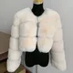 Giacca da donna in pelliccia sintetica cappotto spesso Cappotto corto in pelliccia sintetica calda invernale alla moda Il cappotto peloso offre un cappotto in pelliccia sintetica da donna