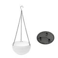 Dreamhall Plastic Hanging Planter Pot Round Wire Plant Holder Chain Porch Decor Flower Pots Hanger Garden Decoration Indoor Outdoor Watering Hanging Baskets White