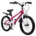 RoyalBaby Freestyle 20 Kids Bike with Kickstand and Water Bottle Fuchsia