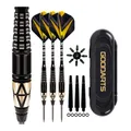 Darts Metal Tip Set Professional Darts with Carring-Case Steel Tip Darts Set