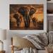 Dakota Fields African Elephant Photography At Sunset I On Wood Print Wood in Brown | 10 H x 20 W x 0.78 D in | Wayfair