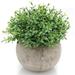 Velener Mini Sage Green Potted Boxwood Topiary Artificial Plants for Home Decor Indoor Farmhouse House Plant Office Small Desk Shelf Apartment Coffee Bar Bathroom Decor Guest Room Small Fake Plant