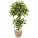 Nearly Natural 55 Variegated Ficus Artificial Tree in Sandstone Planter