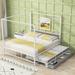 Queen Size Metal Canopy Platform Bed with Twin Size Trundle and 3 Storage Drawers