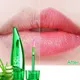 Color Changing Lipstick Aloe Moisturizing Lip Warm Color Lip Glaze Long Term Waterproof Sweat Proof
