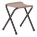 Coleman Rambler II Camp Stool Compact Folding Design Lightweight Al Each