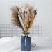 75Pcs Natural Dried Pampas Grass Bouquet Pampas Grass Dried Flower Pampas Grass DÃ©cor Fluffy Pampas Grass Branch with Natural Pampas White Reed for Wedding Room Home Bedroom DÃ©cor