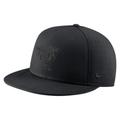 Men's Nike Pitt Panthers Triple Black Performance Fitted Hat
