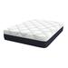 Twin Medium 14" Gel/Foam Mattress - Alwyn Home Cerqueira Gel Memory Foam | 74 H x 39 W 14 D in Wayfair F4D3DF6100484F35B03AF5665A56CBFE