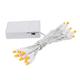 20 Light LED Battery Christmas Mini Light Set, White Wire, 8' Long