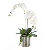 Jenny Silks Real Touch White Orchid Flower Arrangement In Silver Ceramic Pot
