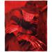 The Northwest Group A Nightmare on Elm Street 50" x 60" Hellish Glow Silk Touch Throw Blanket