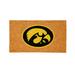 Iowa Hawkeyes 28" x 16" Logo Turf Mat