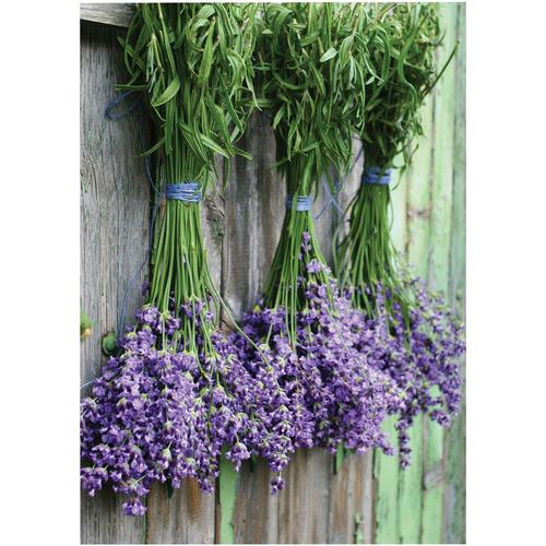 „Leinwandbild ART FOR THE HOME „“Outdoor Lavendel 50x70cm““ Bilder Gr. B/H/T: 50 cm x 70 cm x 2,3 cm, Leinwandbild, 1 St., lila Leinwandbilder“