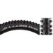 Schwalbe Big Betty Tire 29x2.6 Tubeless Folding Blk Evo Line Soft Super Gravity