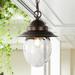 JONATHAN Y Glendale 8.25 1-Light Farmhouse Industrial Iron/Glass Outdoor LED Pendant Oil Rubbed Bronze/Clear by JONATHAN Y