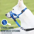 Muselières anti-aboiement pour chien collier respirant outil d'entraînement pour chien ensemble