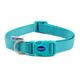 Ancol Dog & Puppy Collars Nylon Teal 3 Sizes - Small