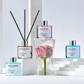 Rose Jasmine Hotel Home Aromatherapy Air Fresh Fragrance Reed Diffuser Bottle with Essential Oil