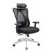 High Back Ergonomic Office Chair Adjustable Headrest and Waistrest Mesh Desk chair