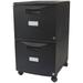 BULYAXIA Plastic Two-Drawer Mobile Pedestal File Cabinet â€“ Locking Document Organizer with Casters for Home and Office Black 1-Pack (61312U01C)