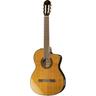 Takamine TC132SC mit Softase